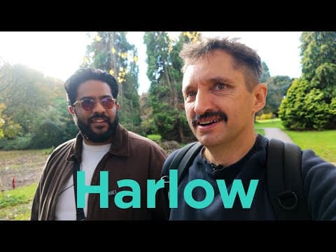 Is Harlow Good Or Rubbish?