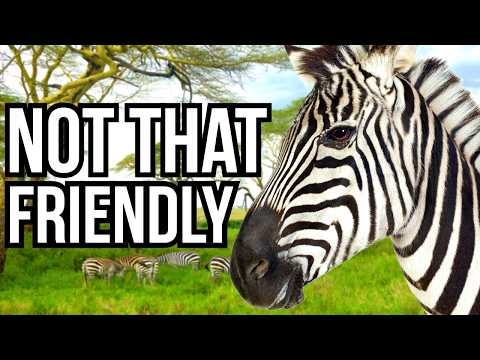 6 African Herbivores That Eliminate Other Herbivores Almost As Much As Predators Do