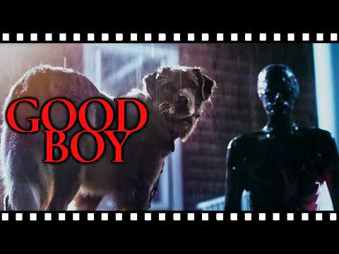 Good Boy: How A Dog Smells Death