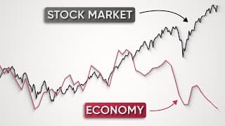 Something Is Wrong With This Market