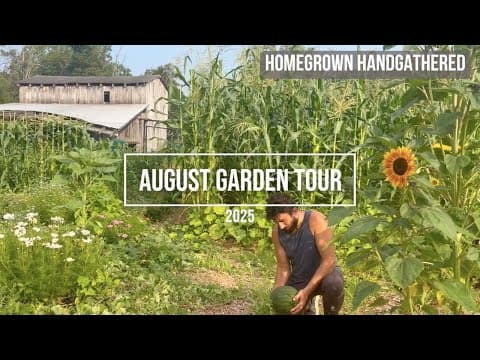 Our New Garden is THRIVING! (Full Garden Tour and Harvest)