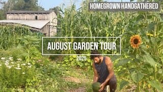 Our New Garden is THRIVING! (Full Garden Tour and Harvest)
