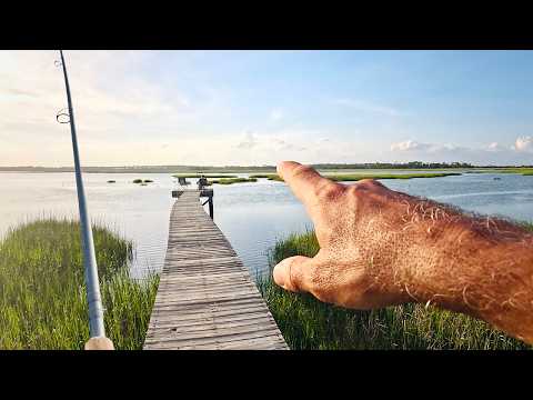 Searching For Redfish In South Carolina - The Big Usa Fishing Trip #03