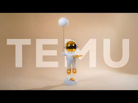 I Bought Temu’s Most Expensive Home Decor Products - Are They Good? (not Sponsored)