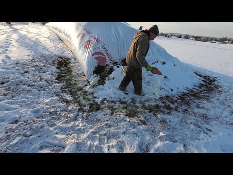 Ag-bag Fox Damage & New Curtains