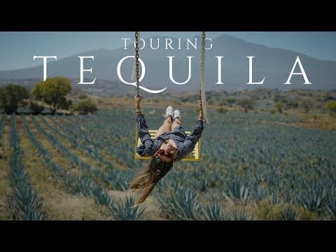 We Went To Tequila!! Everything You Need To Know Before You Visit!
