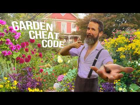 My Biggest Secret For An Easy Beautiful Garden