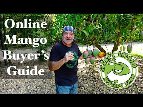 How To Get Some Of The Best Mangos You'll Ever Taste