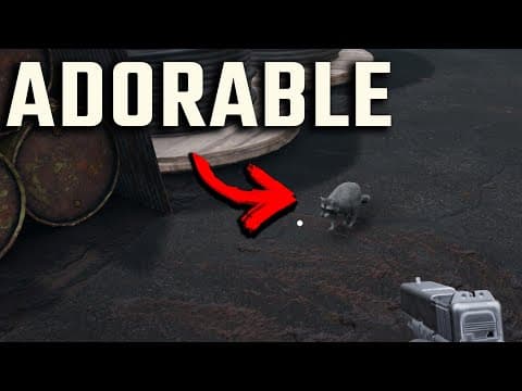 Quarantine Zone Raccoons Are Adorable...