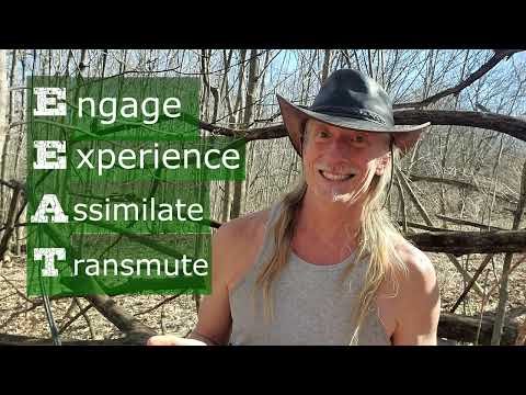 Change Your Relationship With Food! A Meditation To Help You Eat Consciously: Eeat