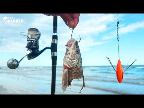 I Used Everything I Caught As Bait On A Secluded Beach (galveston, Texas)