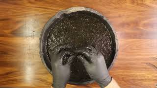 Finding Gold In My Carpet - Living Room Gold