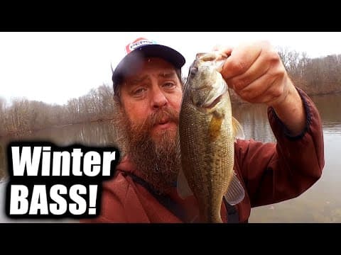 I Can't Believe It - I Am Catching Bass From Shore In Winter!