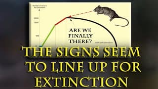 Are We Living In The Doomed Mouse Utopia Experiment, Yet Just Don't Know It?