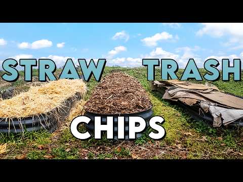 Which Mulch Grows The Best Garden? Our Big Experiment Begins