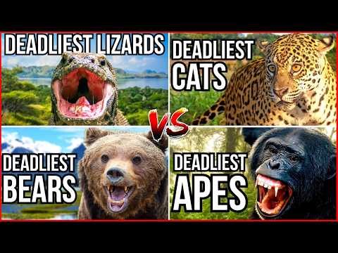 All 8 Ranking Deadly Animal Videos That I Have Ever Made - Deadliest Animals