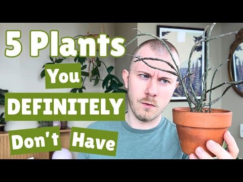 You Definitely Don't Have These 5 Plants In Your Collection!