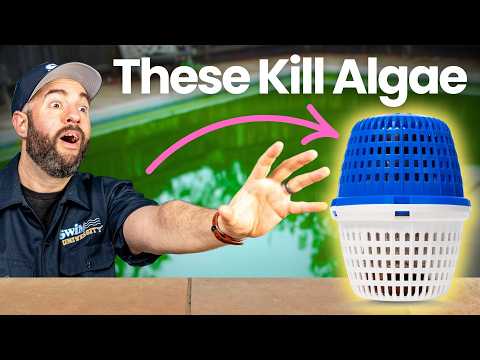 How To Stop Pool Algae From Coming Back (minerals, Ionizers, Algaecide)