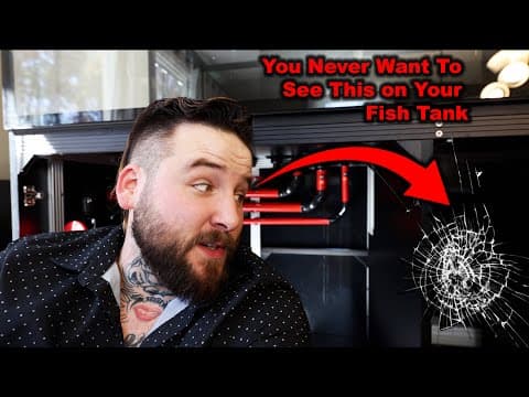 My $10,000 Fish Tank Had A Huge Problem....