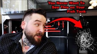 My $10,000 Fish Tank Had A Huge Problem....