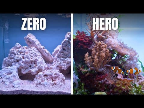 Complete Saltwater Aquarium Beginners Guide - Ep4: Adding Fish & Corals!