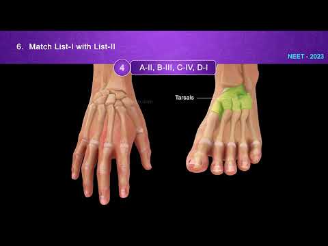 Neet Prev Q&a_chp_locomotion And Movement Part 01 #neet #quiz