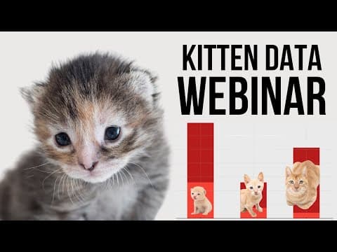 Webinar: Kitten Data Insights For Animal Welfare Professionals