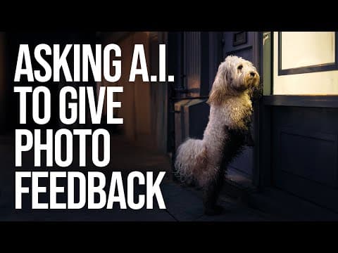 I Asked A.i. To Critique My Street Photography. This Is What I Learned.