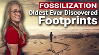 Oldest Fossilized Human Footprints Discovered So Far!