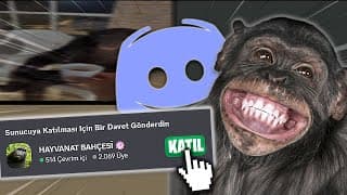 Discord'da 0tl Ile Hayvanat Bahçesi Kurduk!