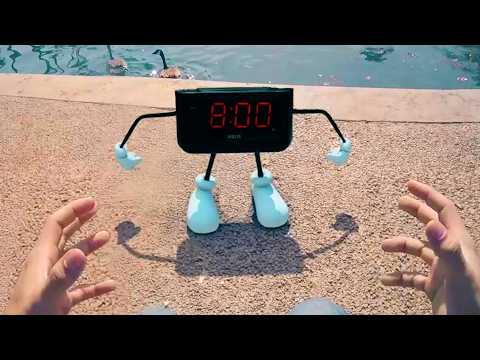 Craziest Creatures - Compilation