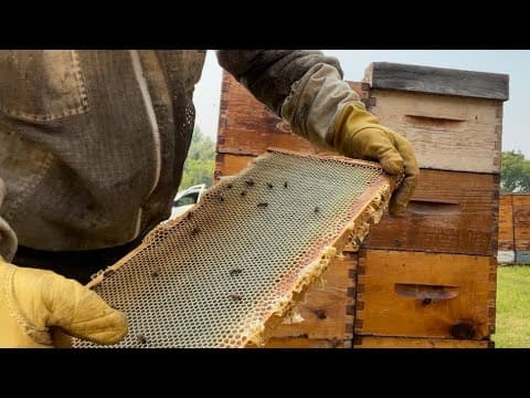 Waiting For A Bit More Bulk,