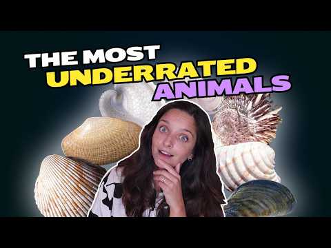 Bivalves - The Most Underrated Animals