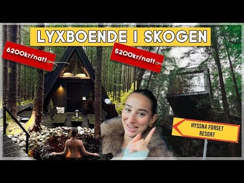 Vi Bor I Lyxkoja I Skogen