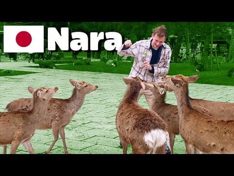 Look At All These Dogs • 3.20.24