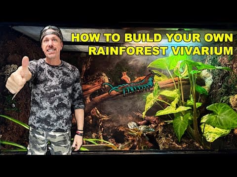 How To Scape A Reptile Cage In 2 Hours!