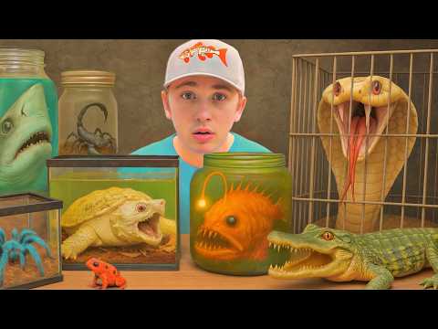 I Bought The Deadliest Animals (to Keep As Pets)