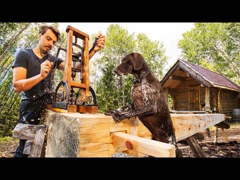 Building A Forest Kitchen With My Dog In The Wilderness