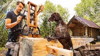 Building A Forest Kitchen With My Dog In The Wilderness