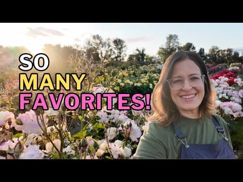 Rose Heaven: Touring Heirloom Roses’ Private Fields