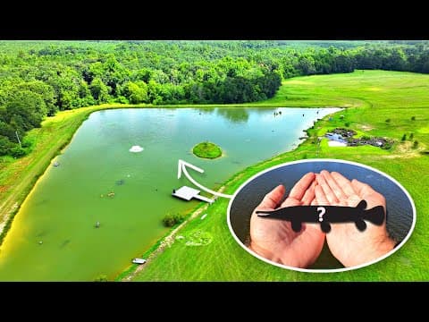 We Shouldn't Have Added This Fish To The 5 Acre Pond!