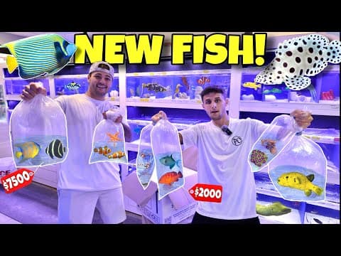 Fish Shopping Spree For My Saltwater Aquarium!!
