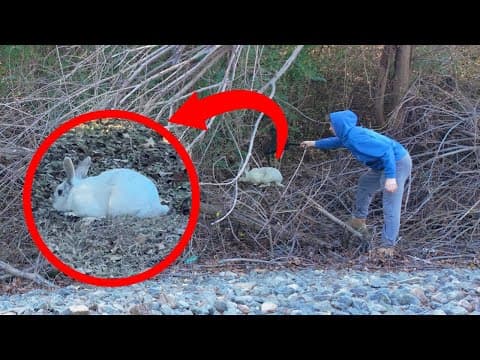 Living In The Woods For 7 Months 😱‼ | Rabbit Rescue