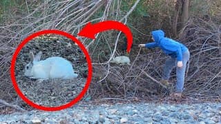 Living In The Woods For 7 Months 😱‼ | Rabbit Rescue
