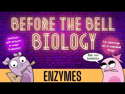 Enzymes: Before The Bell Biology