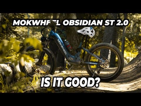 I Pushed This E-bike To The Absolute Limit