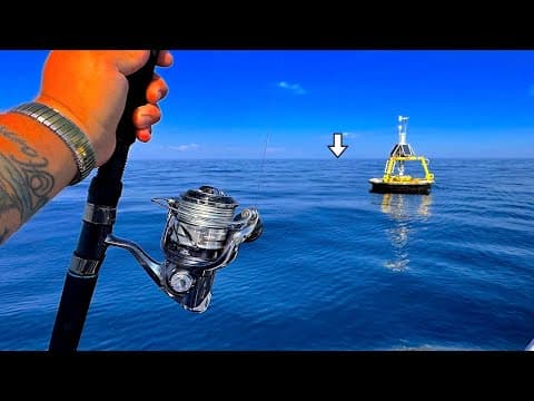 Fishing A Live! Hardtail Under This Weather Buoy When This Happened! [catch, Clean, Cook]