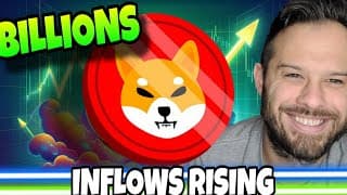 Shiba Inu Coin | Exchange Inflows Rise, What This Means Is Next For Shib