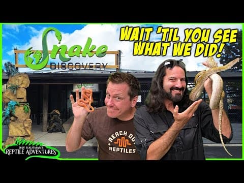 We Gave These Snakes The Best Day Of Their Lives!