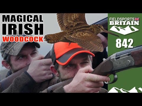 Fieldsports Britain – Magical Irish Woodcock